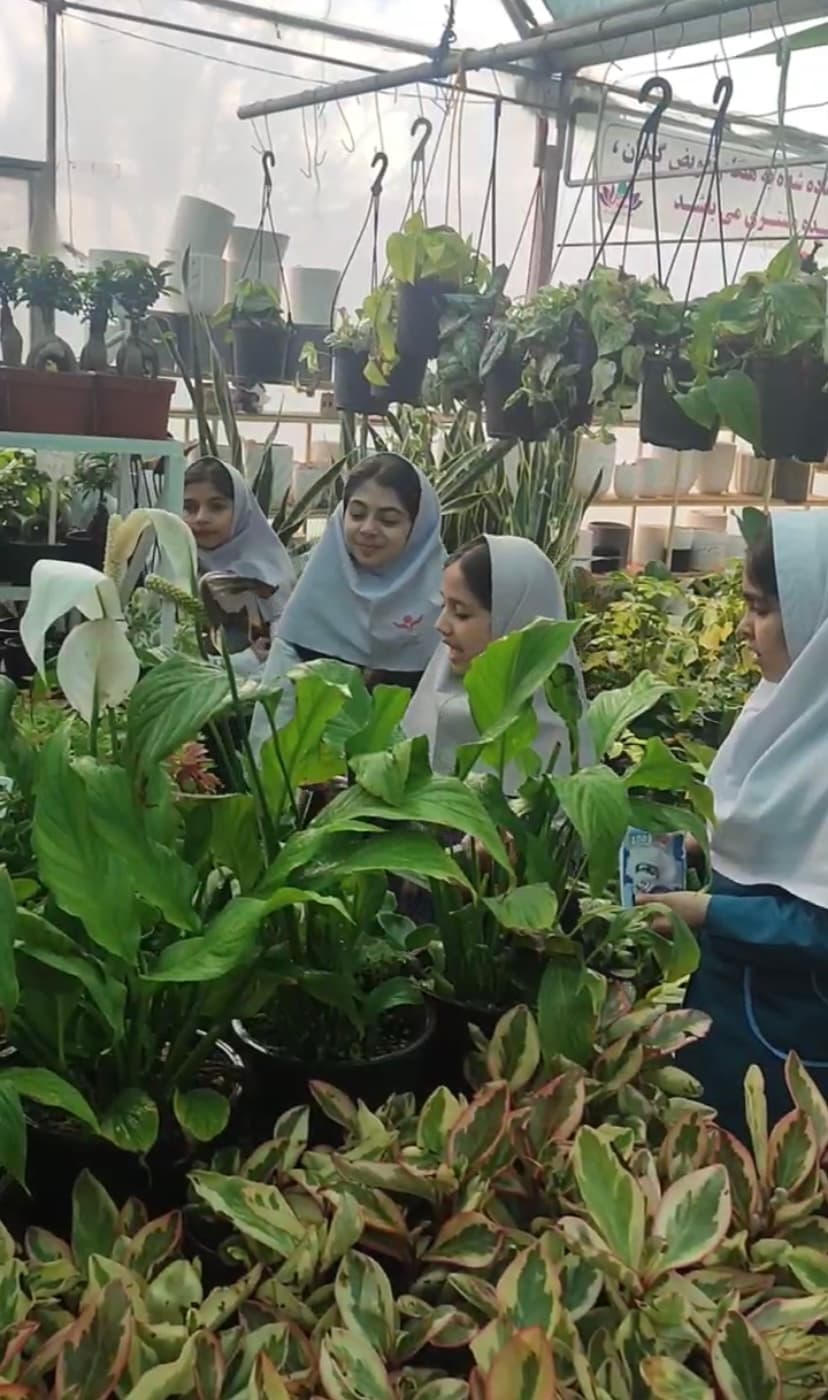 پیش دبستانی و دبستان تمام هوشمند ستایش